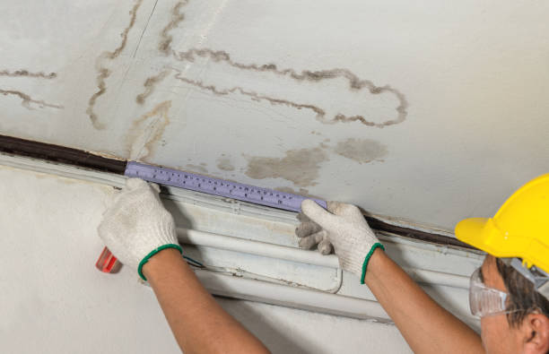 Reliable Burst Pipe Cleanup contractor in Wharton, NJ by Water Damage Irwin